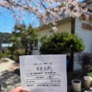 감나무식당 | 강원도 양양 _ 황태국밥 맛집 감나무식당 내돈내산 후기