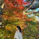 지산공영주차장 | 광주 가을놀거리 지산유원지 리프트권 왕복 편도 가격 알고가세요!