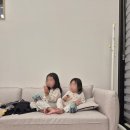 온키즈펜션 | 밀양 온키즈펜션 밥해주는 온수풀빌라 경남 독채펜션