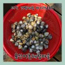 어촌마을 | 용신어촌체험마을 : 태안 갯벌체험 후기 바지락 동죽 조개잡이 꿀팁