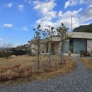 청도 림 이미지