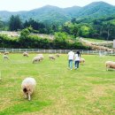 해삼농장 이미지