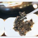 멸치부터고래까지 - 서구 청라커낼로223번길 14 | 멸치부터고래까지