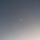 반딧불안경 이미지