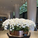 비스타 워커힐 프레스티지 오크 딜럭스 더블룸 후기(룸, 스카이야드, 피자힐, 럭스바, 골프클럽까지)