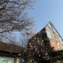 대송버섯집 이미지