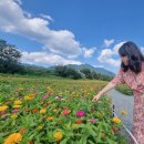 가조 힐링랜드 이미지