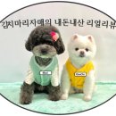 아인스동물병원 이미지