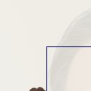 마이오서울안과의원 이미지