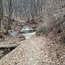 율곡천 1 이미지