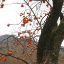 금남중학교 이미지