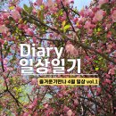 학여울펜션 | 즐거운기만나 4월 일상일기(조카 돌잔치, 벚꽃구경, 양평여행)