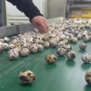 상경농장 이미지