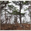 사일산 이미지