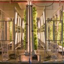 농업회사법인 그린바이오 주식회사 이미지