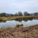 열린민원행정사사무소 이미지