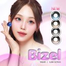 렌헤어 | 렌블링 신상 축고정렌즈 '비즈엘' 시리즈 리뷰⭐