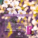 공주 피부관리실 이미지