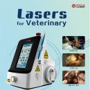 길음동물병원 이미지