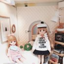 레이디하우스다이소