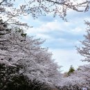 4월 일기 보고서 (생일 선물 후기 재중)