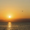 선하우스 이미지