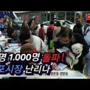 구포시장2 이미지