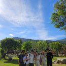 물레방아기사식당 | [아기랑 임산부 나트랑] 투어업체 없이 나트랑 양떼목장, 판랑 사막투어 가기(기사 따로 구함)