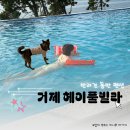 헤이풀빌라1 이미지