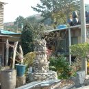 국화공원 이미지