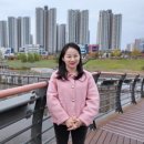 힐링소프트웨어 이미지