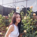 어로어