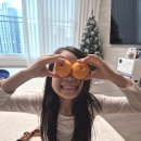 더드림농수산