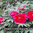 모란행정사 이미지