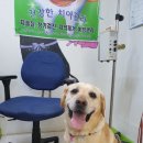 진정훈동물병원 이미지