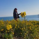 뉴추자아일랜드 이미지