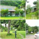 무무호텔 | 강화도 숙소 숲캉스 호텔 무무 방문 후기