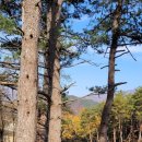 산솔주택