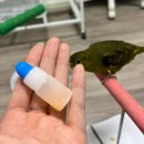 닥터스종합동물병원 이미지