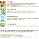 스폰지캐럿 이미지