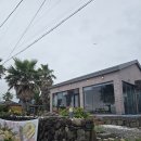 비거커피&에그오리진 | 제주 동쪽 여행 필수코스, #바다가잘보이는카페 #커피가맛있는카페 cafeEDC 솔직 후기