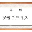 애♥풀잎