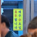 햇살마루 청둥오리 이미지