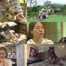 해피댕댕이 이미지