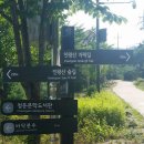 나무그늘 조선일보