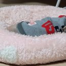 물치천로 이미지