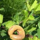 솔애유치원 이미지