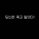 조이앤프리덤
