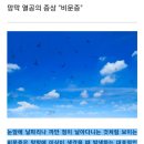 서울눈에빛안과의원 이미지