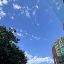 텔레파시 인터네셔널 | 차초Wedding :: 창원 그랜드머큐어 주례 없는 결혼식 후기 (플래너X)